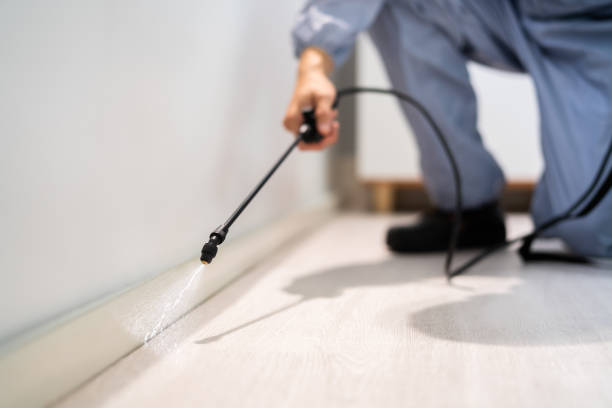 Licensed Pest Control service in Waltham, MA - Show Me Pest Control