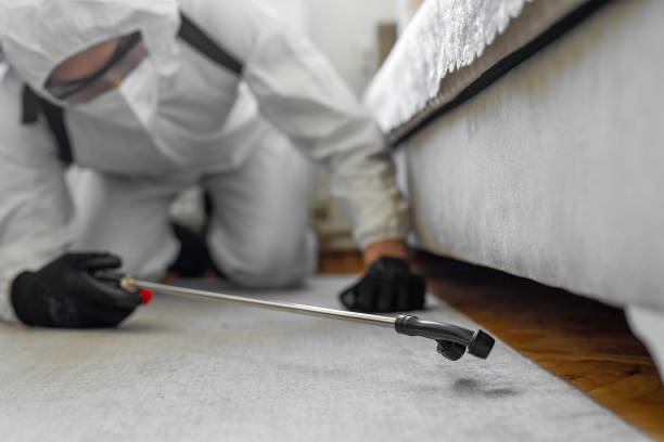 Professional Ant Control technician working in Waltham, MA